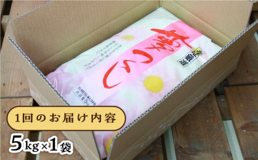 【全3回定期便】糸島産 夢つくし 5kg 糸島市 / 三島商店 [AIM005]