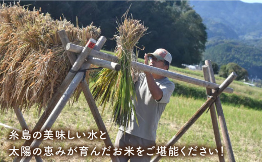 【新米受付中】＼令和6年産／ 糸島産 餅米 5kg 自然栽培 天日干し 【2024年11月下旬以降順次発送】 糸島市 / 大石ファーム[ATE005]