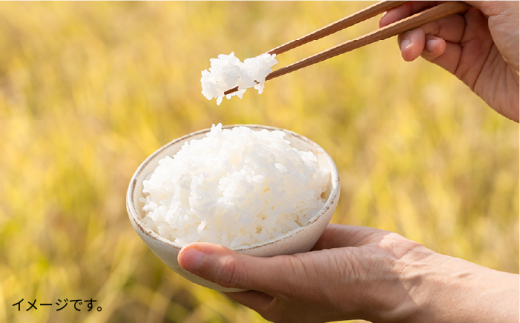 【全6回定期便】糸島で農薬を使わずに育てた山つき 糸島 米 5kg（コシヒカリ） 糸島市 / 株式会社やました [ARJ016]