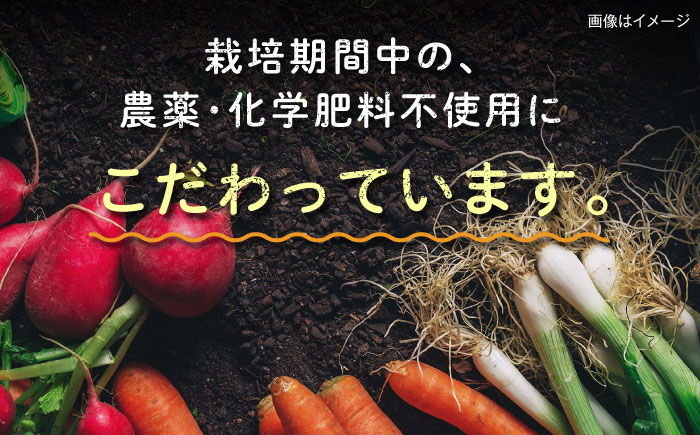 糸島産 肉 米 野菜 果物 厳選詰め合わせ MINORI BOX Sサイズ 糸島市 / emma.Inc / 米 肉 野菜 果物 詰め合わせ [AOP007]