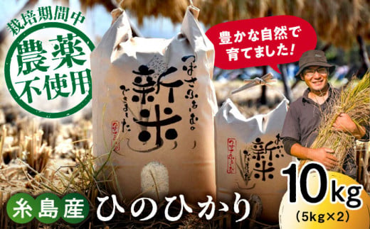 【令和6年産新米】糸島産 雷山 のふもと 栽培期間中 農薬不使用の米 10kg（5kg×2）ひのひかり【2024年10月下旬以降順次発送】ヒノヒカリ 糸島市 / ツバサファーム [ANI002]