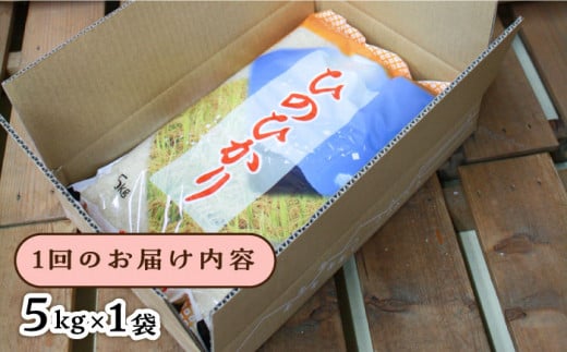 【2024年11月以降順次発送】【全6回定期便】糸島産 ひのひかり 5kg×6回 糸島市 / 三島商店 [AIM009]