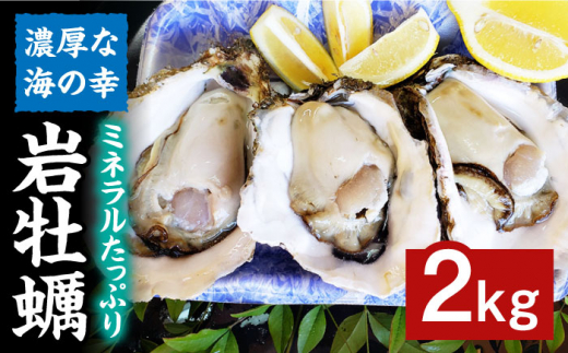 岩牡蠣2kg（6～10個）≪糸島市≫ 糸島市 / ケンちゃんカキ牡蠣/カキ/岩牡蠣 /糸島カキ [AOI002]