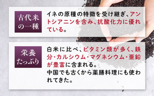 【新米先行予約】田縁黒米（でんえんくろまい）300g×3パック 【2024年11月以降順次発送】糸島市 / NPO法人田縁プロジェクト 古代米 黒米 米 ご飯 [ATM003]