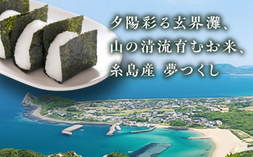 【こだわり精米】令和5年 糸島産 夢つくし 20kg(5kg×4) 糸島市 / RCF 米 お米マイスター [AVM009] 米 こめ コメ 白米 夢つくし ごはん 飯