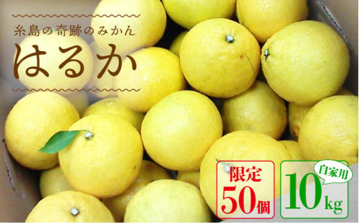 【先行予約】爽やか に甘い！ 糸島産 「 はるか 」  自家用 約 10kg 【2025年3月より順次発送】 二丈赤米産直センター [ABB004]