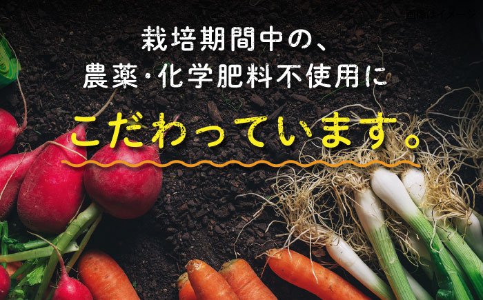 【全4回定期便】糸島産 肉 米 野菜 果物 厳選詰め合わせ MINORI BOX Sサイズ【季節ごとに年4回お届け】 糸島市 / emma.Inc / 米 肉 野菜 果物 詰め合わせ [AOP001] 米 こめ 肉 にく 野菜 やさい 果物 くだもの 糸島 詰め合わせ MINORI