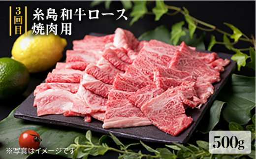 美味しさ 満載 ！ 贅沢 お肉 セット の 定期便 全5回（月1回） 3人 家族用 【福岡 糸島産 牛肉 豚肉 鶏肉 ステーキ しゃぶしゃぶ すき焼き ヒレ シャトーブリアン ロース 】 糸島 / 糸島ミートデリ工房 [ACA084] 定期便 博多 和牛