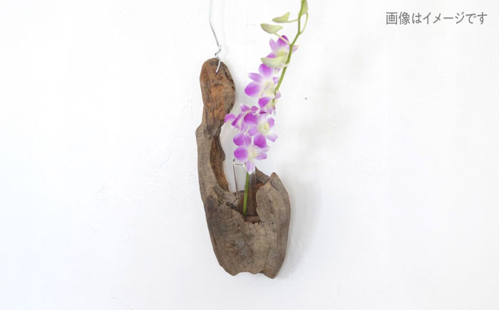 Driftwood FlowerBase 流木一輪挿し フラワーベース 糸島市 / WOOD\'ARBRE(ウッドラヴル)【TIME】 インテリア 雑貨 [ADC003] インテリア 雑貨 一輪挿し 流木 お洒落 木 おしゃれ オシャレ シンプル 壁掛