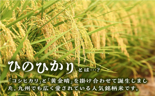 【2024年11月以降順次発送】【全6回定期便】ひのひかり 10kg×6回 糸島市 / 三島商店 [AIM015]