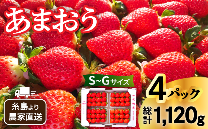 【先行予約】【農家直送！】 糸島産 あまおう 280g×4パック (GおよびSサイズ)　【2026年1月下旬以降順次発送】 糸島市 / 後藤農園 [AML003] あまおう いちご イチゴ 苺 ギフト 贈答 期間限定 フルーツ 4パック