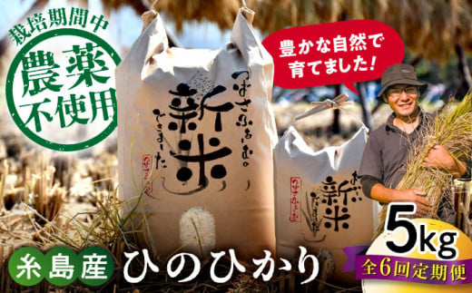 【全6回定期便】 糸島産 雷山のふもとの米 農薬不使用 5kg 糸島市 / ツバサファーム [ANI004] 白米 玄米