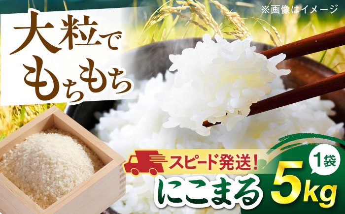 【令和7年産】【スピード発送】 にこまる 玄米品質1等米 白米 5kg 糸島市産 糸島市 / 糸島の恵み コメ こめ ご飯 [AGR001]