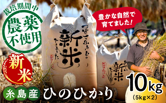 【令和6年産新米】糸島産 雷山 のふもと 栽培期間中 農薬不使用の米 10kg（5kg×2）ひのひかり ヒノヒカリ 糸島市 / ツバサファーム [ANI002]