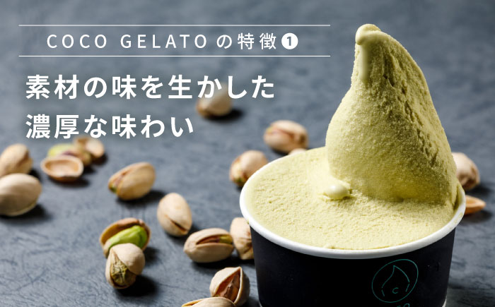 糸島 フルーツ 生ジェラート 9個セット 糸島市 / COCO GELATO [AON001] ジェラート フルーツ 果物 アイス アイスクリーム 濃厚