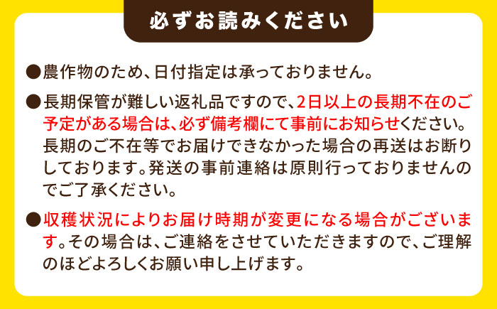 糸島産 トウモロコシ 「もきっこ」 白黄ミックス (5本前後) 糸島市 / 内田農業 とうもろこし コーン [AZH006]