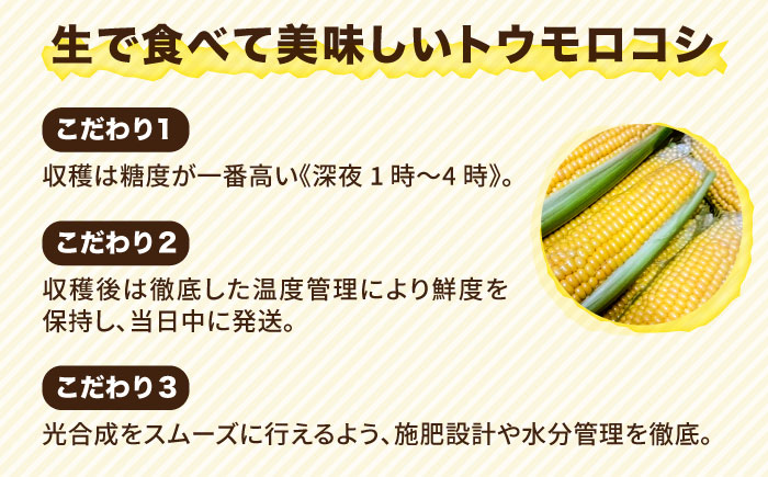 【先行予約】糸島 トウモロコシ 『もきっこ』 黄 （10本前後 ）【2025年6月下旬以降順次発送】 糸島市 / 内田農業 [AZH001]