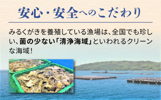 みるくがき 5kg ◆生食可 から付き 活牡蠣 糸島市 / 豊久丸牡蠣 牡蛎 カキ かき 生食 殻付き オイスター 糸島カキ ナイフ [AEJ006]