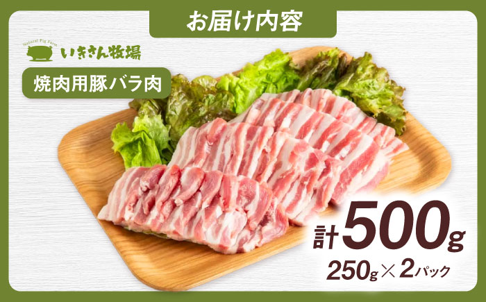 一貴山豚 焼肉用バラ肉 計500g(250g×2p) 糸島市 / いきさん牧場 豚肉 [AGB034] 豚肉 豚 ブランド豚 一貴山豚 ポーク バラ 豚バラ 脂身 小分け