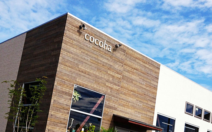 マイナスイオン発生 サンセベリア・ローレンチー大 スリムポットL 糸島市 / cocoha 観葉植物 グリーン 緑 インテリア [AWB040] 観葉植物 緑 グリーン 暮らし インテリア 植物 鉢 おしゃれ 室内 ギフト