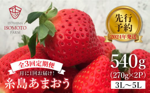 【全3回定期便】糸島 あまおう 270g×2パック 【先行予約*2025年1月～3月にて順次発送】 (A品B品含む３L～５L) 糸島市 / 磯本農園 / TANNAL [ATB009]