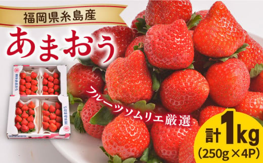 【先行予約】糸島産【冬】 あまおう 4パック 【2024年12月上旬以降順次発送】《糸島》【南国フルーツ株式会社】 [AIK006]