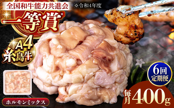 【全6回定期便】A4ランク 和牛 ホルモンミックス 400g もつ鍋 ホルモン焼き 糸島牛 糸島市 / 一番田舎 [AGN016]