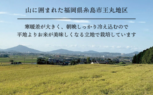 糸島産 ミルキークイーン 10kg糸島市／糸島王丸農園（ 谷口汰一 ）【いとしまごころ】 米  玄米 [AAZ018]