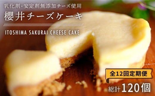 【全12回定期便】無添加チーズの櫻井チーズケーキ【10個入り】 糸島市 / 糸島手作り工房 爽風 [ATA010]