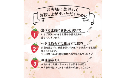 あまおう いちご 1,620g (約270g×6パック) 【先行予約・2025年3月初旬より順次発送】 糸島市 / 株式会社HSP-テクノ [AZL002]