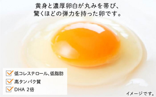 たまごかけご飯 セット ★ 卵 10個 / お米 2kg / たまごかけ ご飯 専用 醤油 《糸島》【株式会社おおはまファーム】 [AKH009] 鶏卵 卵 平飼い 平飼い卵 玉子 たまご 卵かけご飯 玉子かけご飯 TKG