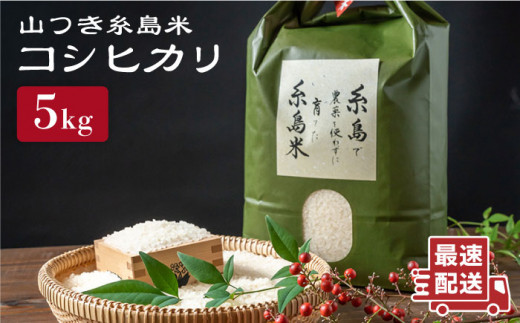 糸島 で 農薬 を使わずに育てた 山つき 糸島米 5kg （ コシヒカリ ） 糸島市 / 株式会社やました [ARJ015]