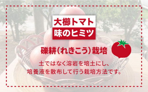 【2025年3月以降順次発送】【全3回定期便】【甘くて濃厚】大玉 トマト 2kg 糸島市 / 大櫛トマトファーム [AQH003]