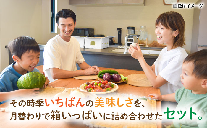 【全12回定期便】糸島産 魚 米 野菜 果物 厳選詰め合わせ MINORI BOX Sサイズ 糸島市 / emma.Inc / 米 魚 野菜 詰め合わせ [AOP022]