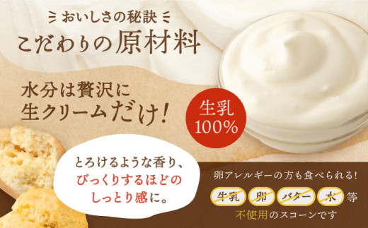 【 贈答用 】 定番 スコーン + 季節 の 味 12個 セット 《糸島》【キナフク】焼き菓子 焼菓子 洋菓子 スイーツ パン [AFA007]