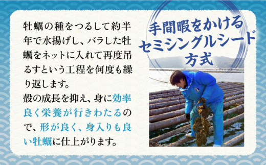 みるくがき 2kg ◆生食可 から付き 活牡蠣 糸島市 / 豊久丸牡蠣 生カキ 生食用 殻付き カキ 生牡蛎 生食可 [AEJ004]