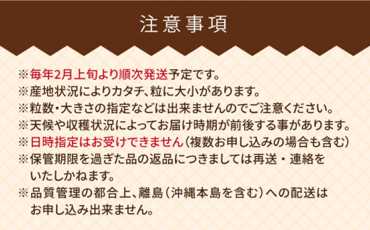 【先行予約】【春】ヨーグルト梅酒720ml ×あまおう 約250g×2パック  【2025年2月上旬以降順次発送】 糸島市 / 南国フルーツ株式会社 [AIK013]