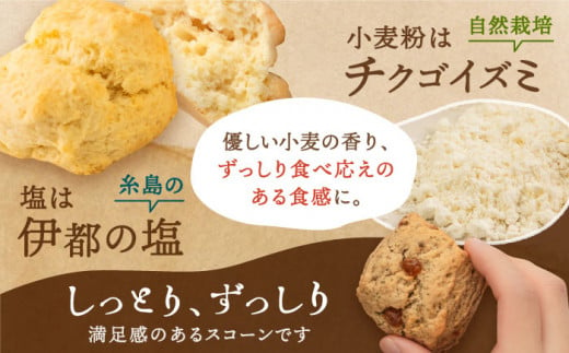 スコーン の イメージ が変わる！ 定番 スコーン 12個セット  糸島市 / キナフク 焼き菓子 焼菓子 洋菓子 スイーツ パン [AFA001] ランキング 上位 人気 おすすめ