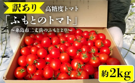 【先行予約】【訳あり】糸島二丈岳 【ふもとのトマト】 約2kg 専用箱入り【2024年11月以降順次発送】  糸島市 / 株式会社さいかい [AFL003] トマト とまと