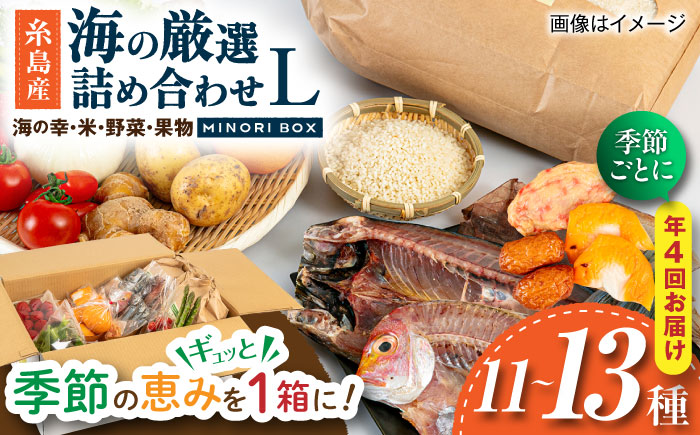 【全4回定期便 令和7年産新米】糸島産 魚 米 野菜 果物 厳選詰め合わせ MINORI BOX Lサイズ【季節ごとに年4回お届け】　糸島市 / emma.Inc / 米 魚 野菜 果物 詰め合わせ [AOP006] 米 こめ 魚 さかな 野菜 やさい 果物 くだもの 糸島 詰め合わせ MINOR