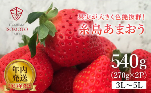 【 年内 発送 】【2024年・年内発送】糸島の美味いあまおう（270g×2パック）A品B品含む3L〜5L 糸島市 / 磯本農園いちご/イチゴ/苺/家庭用 [ATB021]