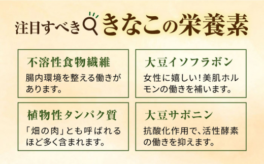 糸島 育ちの やさしい きなこ 100g×2袋 糸島市 / 糸島ボンテール農園 [ACO002]