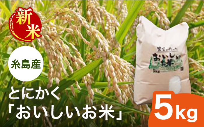 【令和6年産新米】とにかくおいしいお米 夢つくし 5kg 糸島市 シーブ [AHC021]