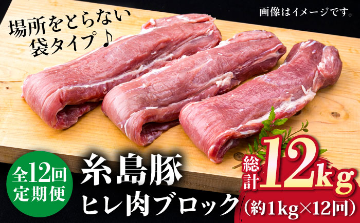 【全12回定期便】糸島産豚肉 ヒレ肉 ブロック 1kg （1本350g前後×3本）《糸島》【糸島ミートデリ工房】 [ACA235]