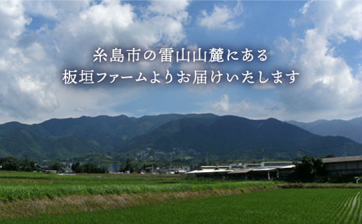 【全12回定期便】てつやとのりこの 玉子　30個 × 12ヶ月　糸島 / 板垣ファーム たまご 卵12か月  [AWD010]