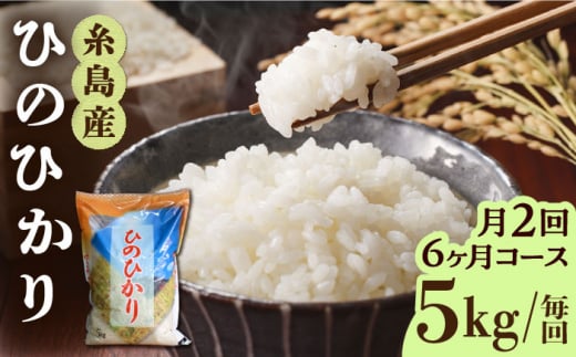 【月2回お届け】【全12回定期便】糸島産 ひのひかり 5kg 6ヶ月コース 糸島市 / 三島商店 [AIM029]