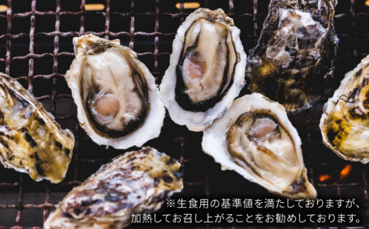 一粒牡蠣 カキ 2kg (牡蠣ナイフ付き) 糸島産 福吉 糸島市 / 伸栄丸 カキの佐々木 牡蠣 生カキ 生食用 殻付き カキ 生牡蛎 生食可 [ATH001]