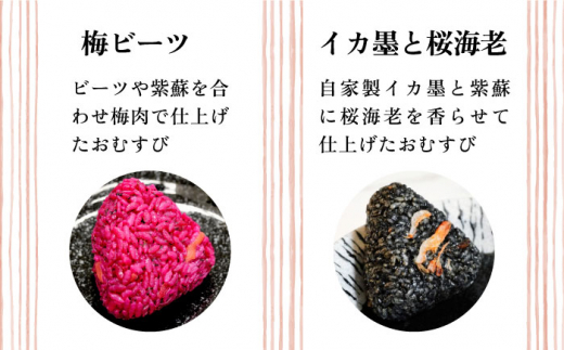 【全6回定期便】【玄米】冷凍 おむすび 20個(10種×各2個) セット 糸島市 / 糸島おむすび ふちがみ [ANL006]