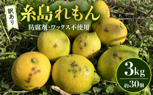 【防腐剤・ワックス不使用】【訳あり】糸島れもん B 3kg（30個前後） 糸島市 / 株式会社 糸島れもん 国産 レモン [AYL002]