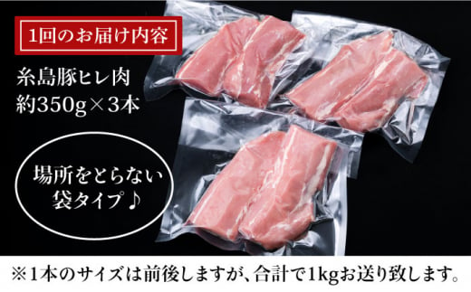 【全6回定期便】糸島豚 ヒレ肉 ブロック 1kg （1本350g前後×3本）《糸島》【糸島ミートデリ工房】 [ACA234]